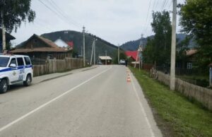 Мотоцикл сбил собаку в Усть-Кане, водитель попал в больницу Мотоцикл сбил собаку в Усть-Кане, водитель попал в больницу