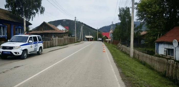 Мотоцикл сбил собаку в Усть-Кане, водитель попал в больницу