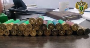 Сельчанин изготовил 19 патронов и получил условный срок Сельчанин изготовил 19 патронов и получил условный срок