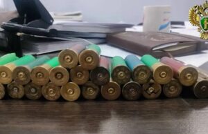 Сельчанин изготовил 19 патронов и получил условный срок Сельчанин изготовил 19 патронов и получил условный срок