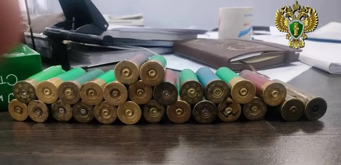 Сельчанин изготовил 19 патронов и получил условный срок