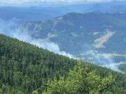 Десять лесных пожаров потушили в Республике Алтай за месяц