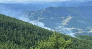 Десять лесных пожаров потушили в Республике Алтай за месяц Десять лесных пожаров потушили в Республике Алтай за месяц