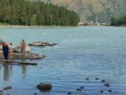 Утонувших в Катуни мужчин до сих пор не нашли Утонувших в Катуни мужчин до сих пор не нашли