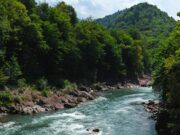 Прогноз погоды: в ближайшие дни будет ещё жарче