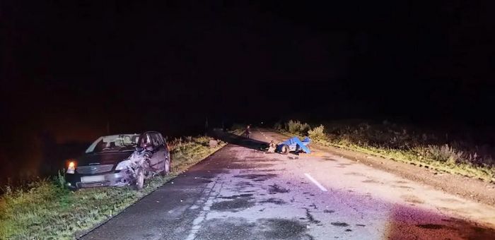 Пьяный подросток решил покататься на мотоблоке и попал в ДТП