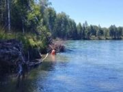 Обнаружено тело утонувшего в Катуни мужчины