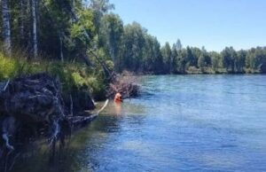 Обнаружено тело утонувшего в Катуни мужчины Обнаружено тело утонувшего в Катуни мужчины