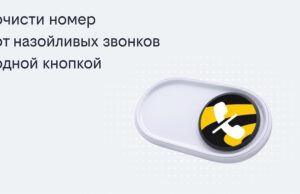 Билайн запустил решение, избавляющее одной кнопкой от массовых рекламных звонков 2026 08 10T11 38 40.822 (1)