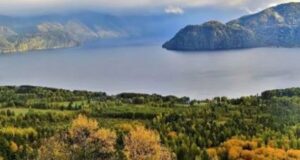 Село Яйлю закрыли для туристов из-за медведей Село Яйлю закрыли для туристов из-за медведей