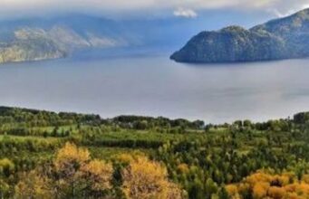Село Яйлю закрыли для туристов из-за медведей