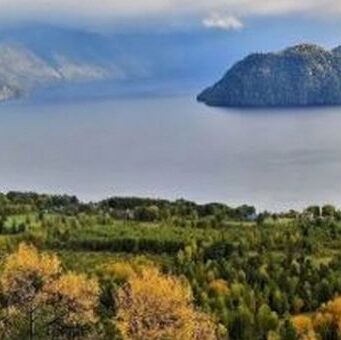 Село Яйлю закрыли для туристов из-за медведей
