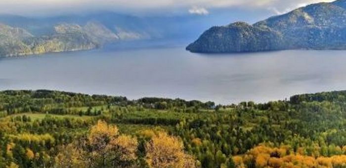 Село Яйлю закрыли для туристов из-за медведей