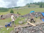 Продолжает реставрация и исследования Пазырыкских курганов