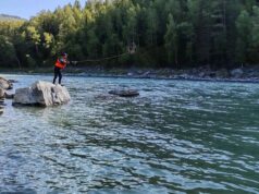 Тело утонувшего в Катуни мужчины до сих пор не нашли