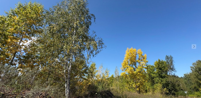Синоптики прогнозируют еще два по-летнему теплых дня на Алтае