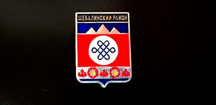 В Шебалинском районе в довыборах участвуют пять кандидатов, четверо из них судимые