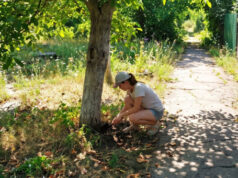 В Майме женщину будут судить за приобретение наркотиков