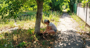 В Майме женщину будут судить за приобретение наркотиков В Майме женщину будут судить за приобретение наркотиков