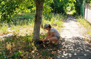 В Майме женщину будут судить за приобретение наркотиков В Майме женщину будут судить за приобретение наркотиков
