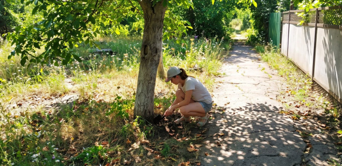 В Майме женщину будут судить за приобретение наркотиков