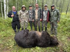 Медведь-людоед, скорее всего, уничтожен Медведь-людоед скорее всего уничтожен