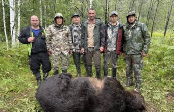 Медведь-людоед скорее всего уничтожен