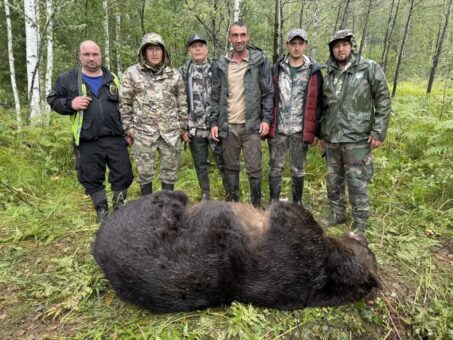 Медведь-людоед скорее всего уничтожен