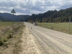 Девушка и ребенок пострадали в ДТП в Усть-Коксинском районе