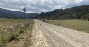 Девушка и ребенок пострадали в ДТП в Усть-Коксинском районе