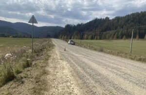 Девушка и ребенок пострадали в ДТП в Усть-Коксинском районе Девушка и ребенок пострадали в ДТП в Усть-Коксинском районе