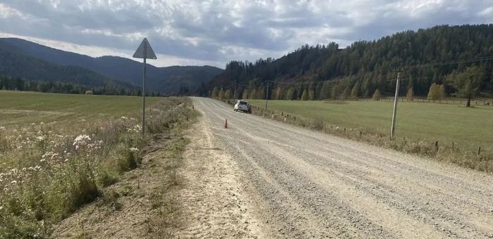 Девушка и ребенок пострадали в ДТП в Усть-Коксинском районе