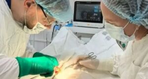 На Алтае врачи провели сложнейшую операцию и спасли почку мальчику, которого лягнула лошадь