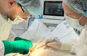 На Алтае врачи провели сложнейшую операцию и спасли почку мальчику, которого лягнула лошадь