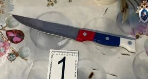 Жительница Усть-Коксинского района пойдет под суд за жестокое убийство сожителя