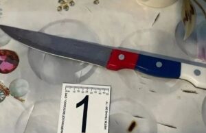 Жительница Усть-Коксинского района пойдет под суд за жестокое убийство сожителя