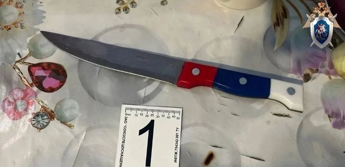Жительница Усть-Коксинского района пойдет под суд за жестокое убийство сожителя