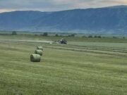 В перечень особо ценных сельхозземель региона внесли еще почти 200 участков В перечень особо ценных сельхозземель региона внесли еще почти 200 участков