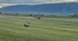 В перечень особо ценных сельхозземель региона внесли еще почти 200 участков
