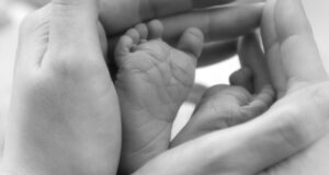 Родовым сертификатом воспользовались более 650 жительниц республики Родовым сертификатом воспользовались более 650 жительниц республики