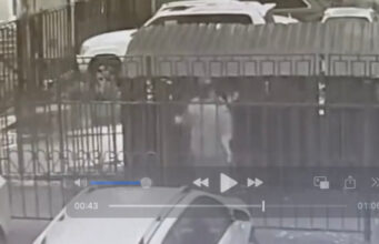 Студент из Республики Алтай избил 15-летнюю девочку в Новосибирске (видео) nga 2752e739
