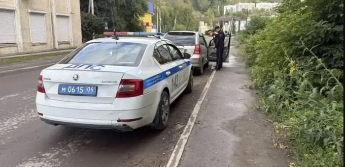 Госавтоинспекция провела спецрейд «Детское кресло»