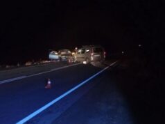 В ДТП с лошадью в Онгудайском районе пострадала семья из Барнаула
