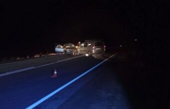 В ДТП с лошадью в Онгудайском районе пострадала семья из Барнаула