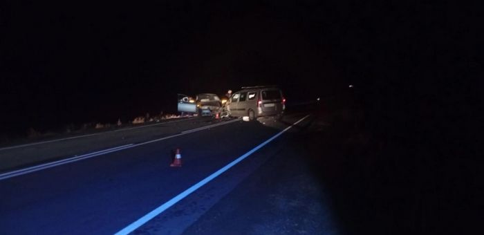 В ДТП с лошадью в Онгудайском районе пострадала семья из Барнаула