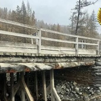 Опасный мост выявили на дороге Кош-Агач – Беляши