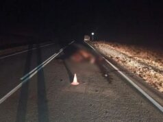 Житель Кызыл-Озека на «Мерседесе» врезался в лошадь на Чуйском тракте Житель Кызыл-Озека на «Мерседесе» врезался в лошадь на Чуйском тракте