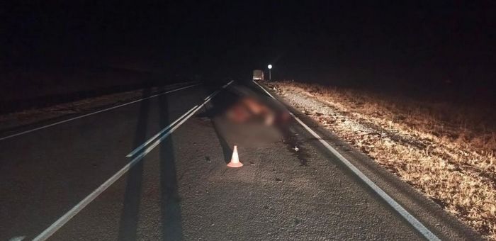 Житель Кызыл-Озека на «Мерседесе» врезался в лошадь на Чуйском тракте