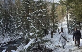 В Чемальском районе не прекращаются поиски пропавшего сотрудника МЧС В Чемальском районе не прекращаются поиски пропавшего сотрудника МЧС