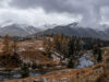 Прогноз погоды: ожидаются дожди и мокрый снег